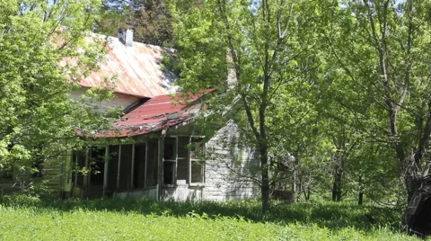 Abandoned house sits behind blowing trees Stock Footage 6369333