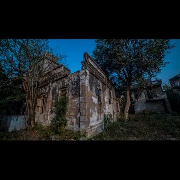Abandoned house tree Stock Photos