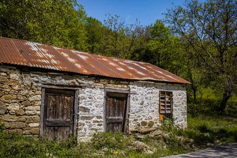 Abandoned house in trees Stock Photos