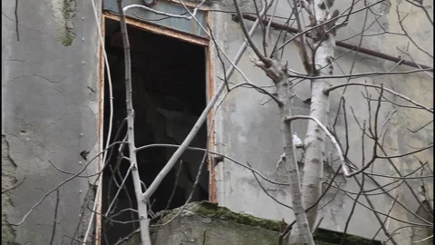 Abandoned House Window with Dark Interior Atmosphere Stock Footage 330063348