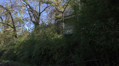 Abandoned House in the Woods 스톡 동영상 42792933