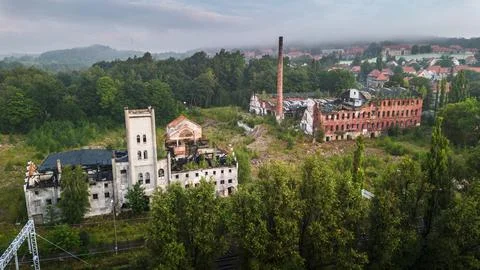 Abandoned Industrial Complex Surrounded by Lush Greenery in the Early Morning Stock Photos