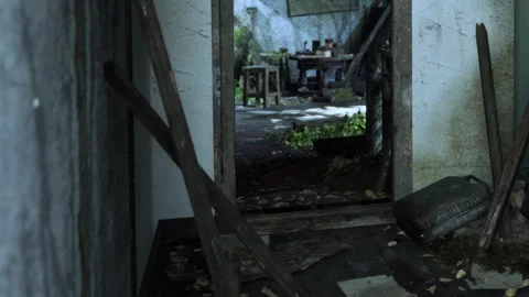 Abandoned interior space with plants and wooden debris on the floor Stock Footage 344304794
