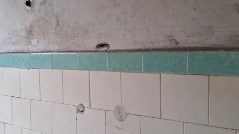 Abandoned interior wall surface motion showing old tiles and plumbing Stock Footage 345362122