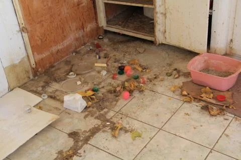 Abandoned Kitchen Foto stock