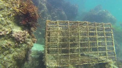 Abandoned Lobster Trap 스톡 동영상 41388634