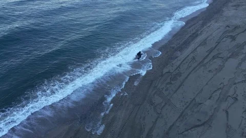 An abandoned log on the beach Stock Footage 288488374