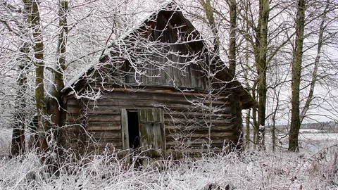 Abandoned log building Stock Footage 120601576