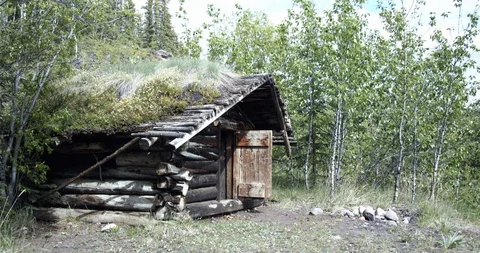 Abandoned log cabin found in the wild in northern Canada Stock Footage 114581086