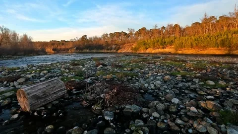 An abandoned log in the middle of the river in a forest Stock Footage 266297888