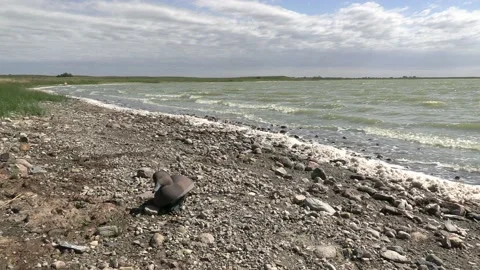 Abandoned Lost Old Duck Decoy Washed Up by Waves on Shore in Wetland Lake Vidéo 176375436