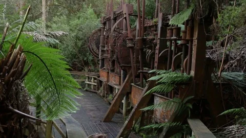Abandoned machinery in rainforest Stock Footage 71796063