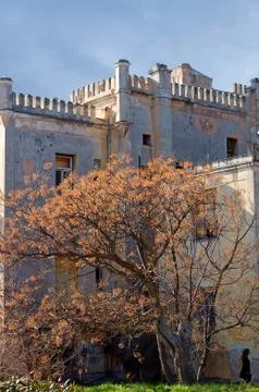Abandoned mansion Foto stock