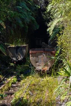 Abandoned Mining Carts in Lush Greenery Stock Photos