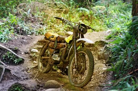 Abandoned motorcycle in forest Stock Photos
