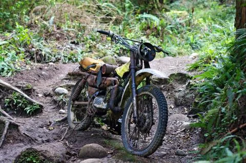 Abandoned motorcycle in forest Foto stock