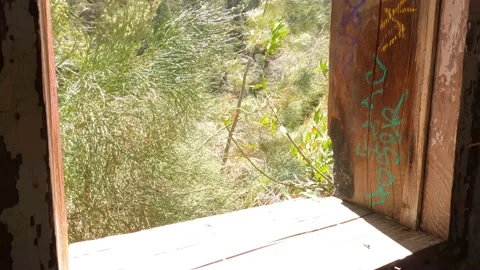 Abandoned Mountain cabin 5 Video stock 151606224