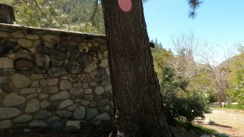 Abandoned mountain cabin 6 Video stock 151658259