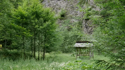 Abandoned mountain cabin in the middle of the forest. Stock Footage 55295107