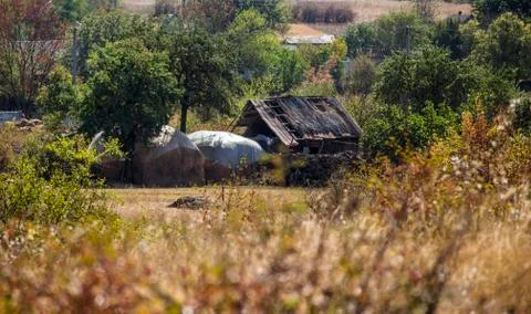 Abandoned old barn Stock Photos