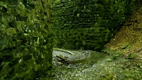 Abandoned old bridge Stock Footage 69083848