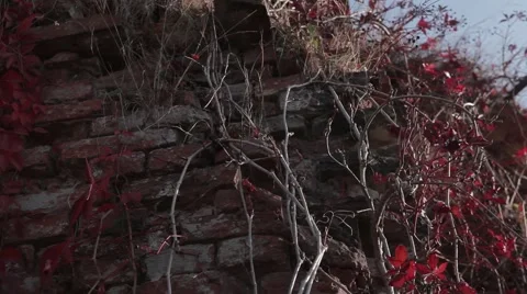 Abandoned old building structure Stock Footage 49071291