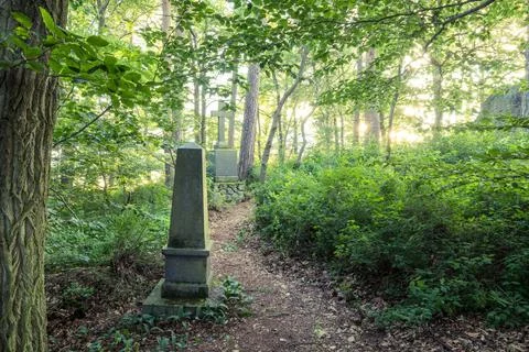 Abandoned old graveyard in the forest surrounded by lush greenery in the dayligh Stock Photos