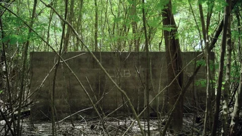 Abandoned old laboratory building in the middle of tropical green jungle Stock Footage 197337840