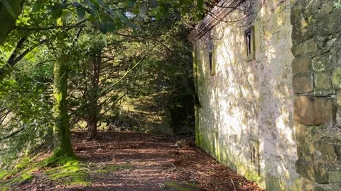 Abandoned old medieval house Stock-Footage 253311292