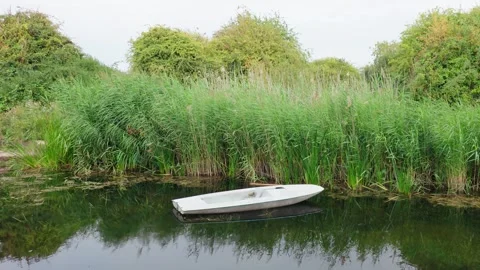 Abandoned old rowboat floating on calm canal water beside dense green reeds Video stock 342334627