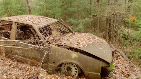 Abandoned Old Rusty Car Forgotten in The Woods, Car Disposed into Nature Stock Footage 163821353