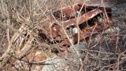 Abandoned Old Rusty Car In The Wilderness Stock Footage 112053462