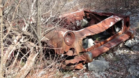 Abandoned Old Rusty Skeleton Car In Wilderness Stock Footage 112052755