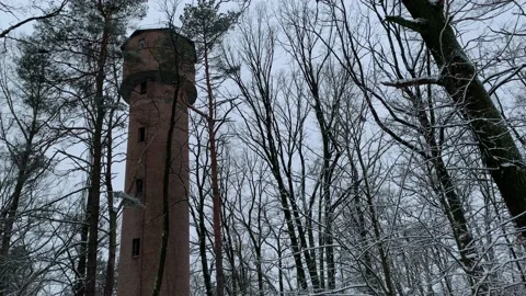 Abandoned old tower in forest. Winter. Everything in the snow. Stock Footage 224710053