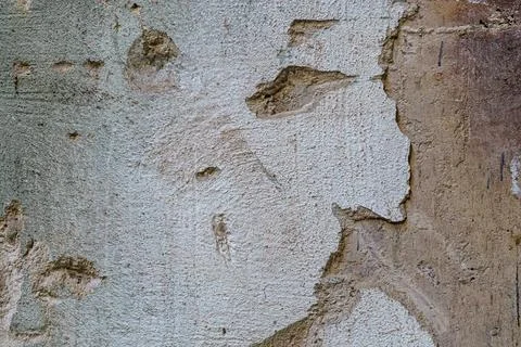 Abandoned old wall. texture plaster wall Stock Photos