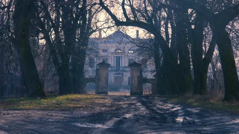 Abandoned palace (time lapse) Stock Footage 103107500