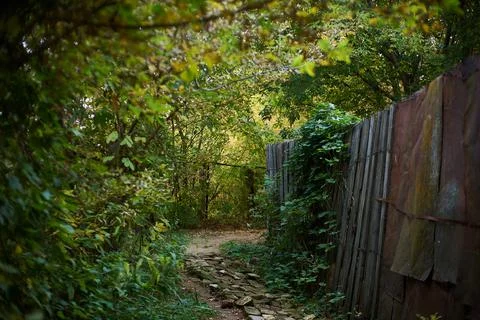 An abandoned path among the old rusty fences. Stock Photos