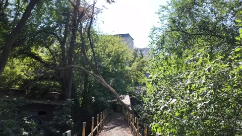 Abandoned pedestrian bridge overgrown with greenery and fallen trees Vídeos de archivo 343554074