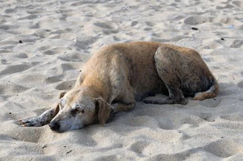 Abandoned Stock Photos