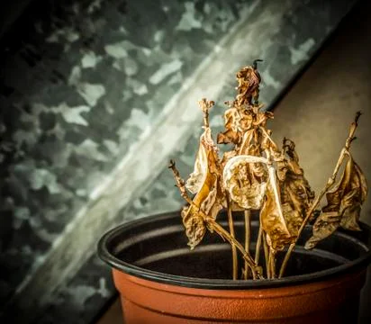 Abandoned Stock Photos