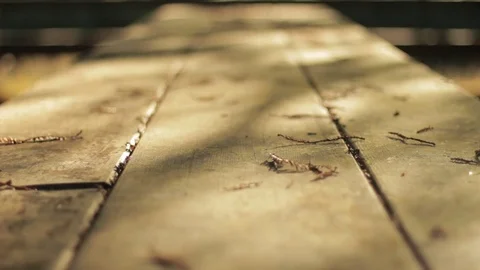 Abandoned Picnic Table Dolly Stock Footage 71123428