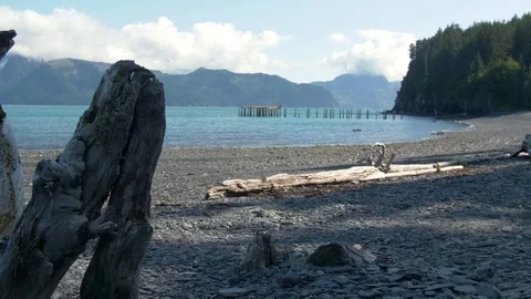 Abandoned Pier on Beach 스톡 동영상 96044954