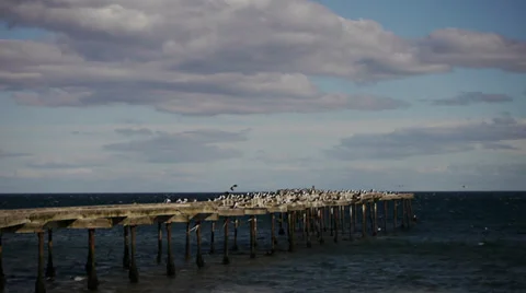  Abandoned Pier in Punta Arenas - Strait of Magellan III Video stock 33700284