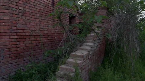Abandoned Pig Farm Collapsed Wall Tilt Up2-11 Stock Footage 335738271