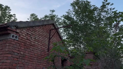 Abandoned Pig Farm Collapsed Wall Tilt Up2-20 Stock Footage 335738343