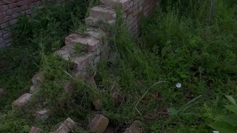 Abandoned Pig Farm Collapsed Wall Tilt Up2-1 Stock Footage 335738406