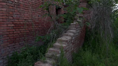 Abandoned Pig Farm Collapsed Wall Tilt Up2-10 Stock Footage 335738503