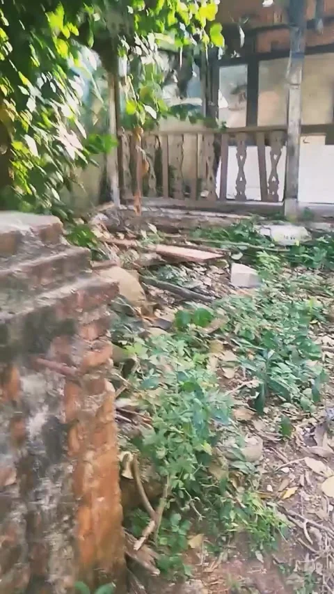 Abandoned place in Depok, West Java 動画素材 227889701