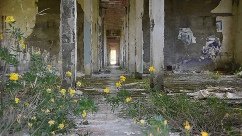 Abandoned place Stock Footage 89216711