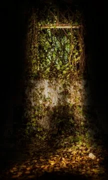 Abandoned place Stock Photos